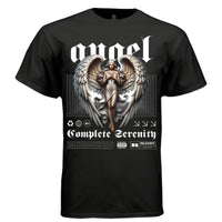 COMPLETE SERENITY Silver Angel Gothic Wings Divine Oversized Streetwear T-Shirt | Project Hood 189 - Project Hood