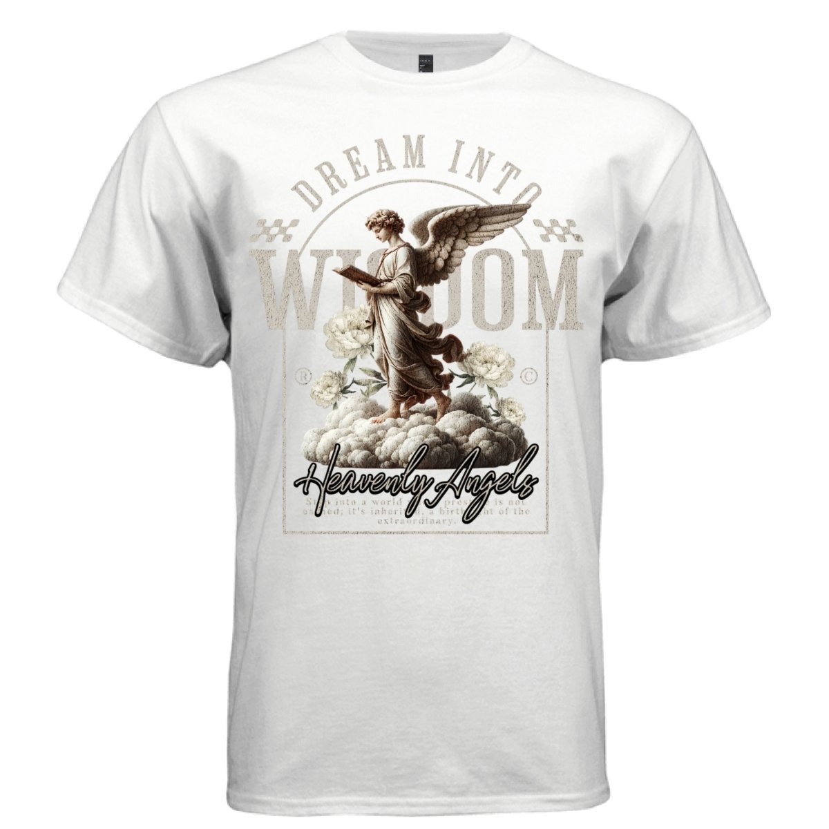 DREAM INTO WISDOM Angel Book Clouds Collegiate Oversized Streetwear T-Shirt | Project Hood 90 - Project Hood