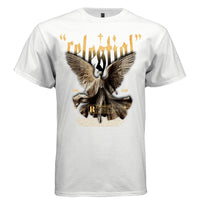 STARS ALIGN Project Hood — closeup of large distressed gold gothic 'celestial' typography with STARS and ALIGN flanking text