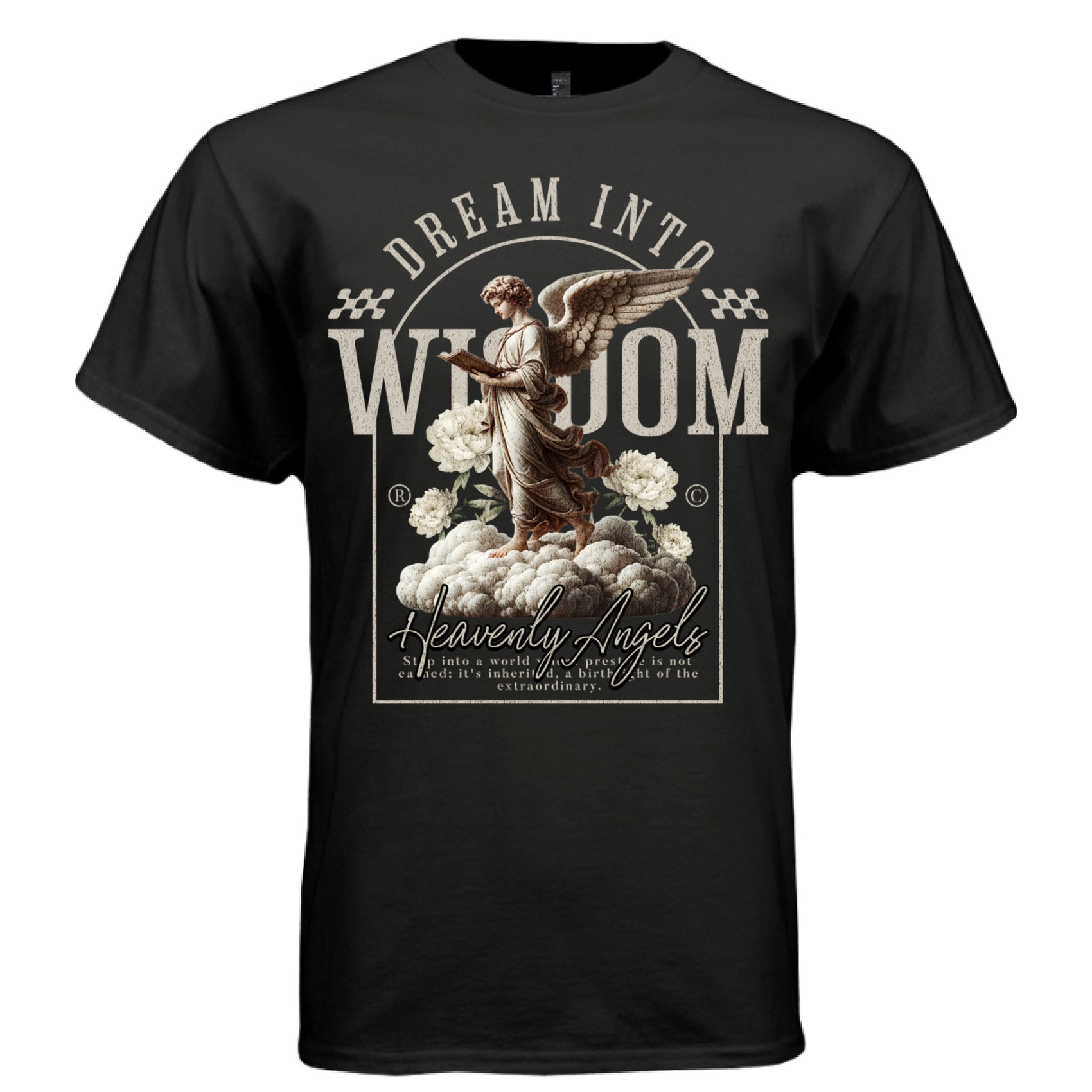 DREAM INTO WISDOM Project Hood oversized unisex tee worn look — collegiate angel reading fashion spiritual streetwear side view