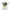 PANORAMIC PORTRAYAL Project Hood typography close-up — neon green panoramic portrayal gothic blackletter script star crown badge detail