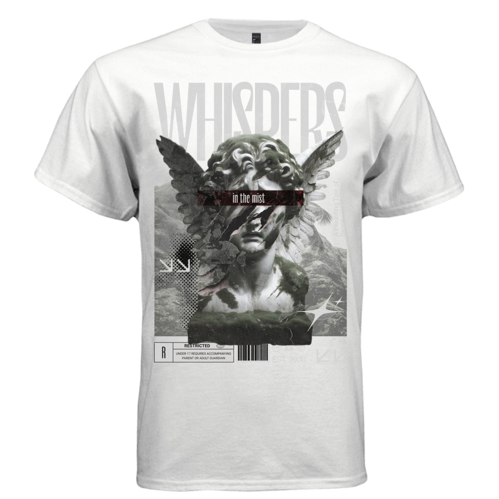 Crumbling moss-covered stone angel bust mountain mist monochrome tee Project Hood
