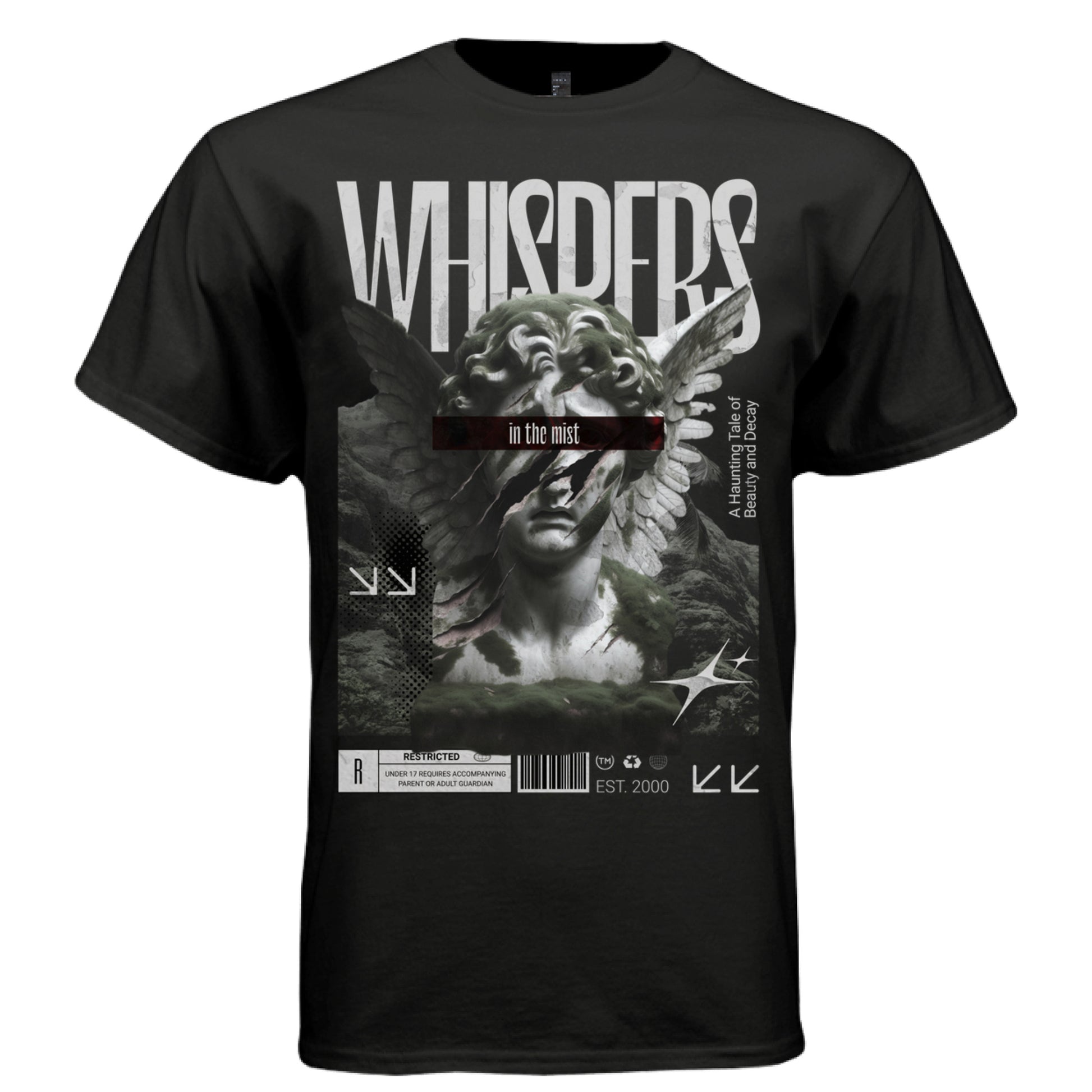 Dark academia ruins stone angel fog oversized streetwear t-shirt Project Hood