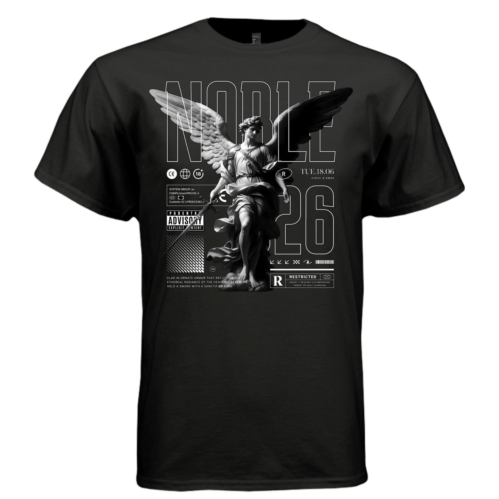 Restricted parental advisory noble angel warrior sword draping robes DTG printed tee Project Hood