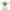 instant popularity nepo baby cherub angel justice globe tee Project Hood