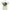 PANORAMIC PORTRAYAL Angel Rose Gothic Neon Oversized Streetwear T-Shirt | Project Hood 106 - Project Hood
