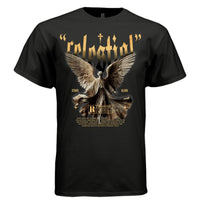 STARS ALIGN Celestial Stone Angel Oversized Streetwear T-Shirt | Project Hood 87 - Project Hood