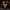 THE DARKSIDE OF MONEY Gold Cherub Dollar Bill Oversized Hoodie | Project Hood 115 - Project Hood